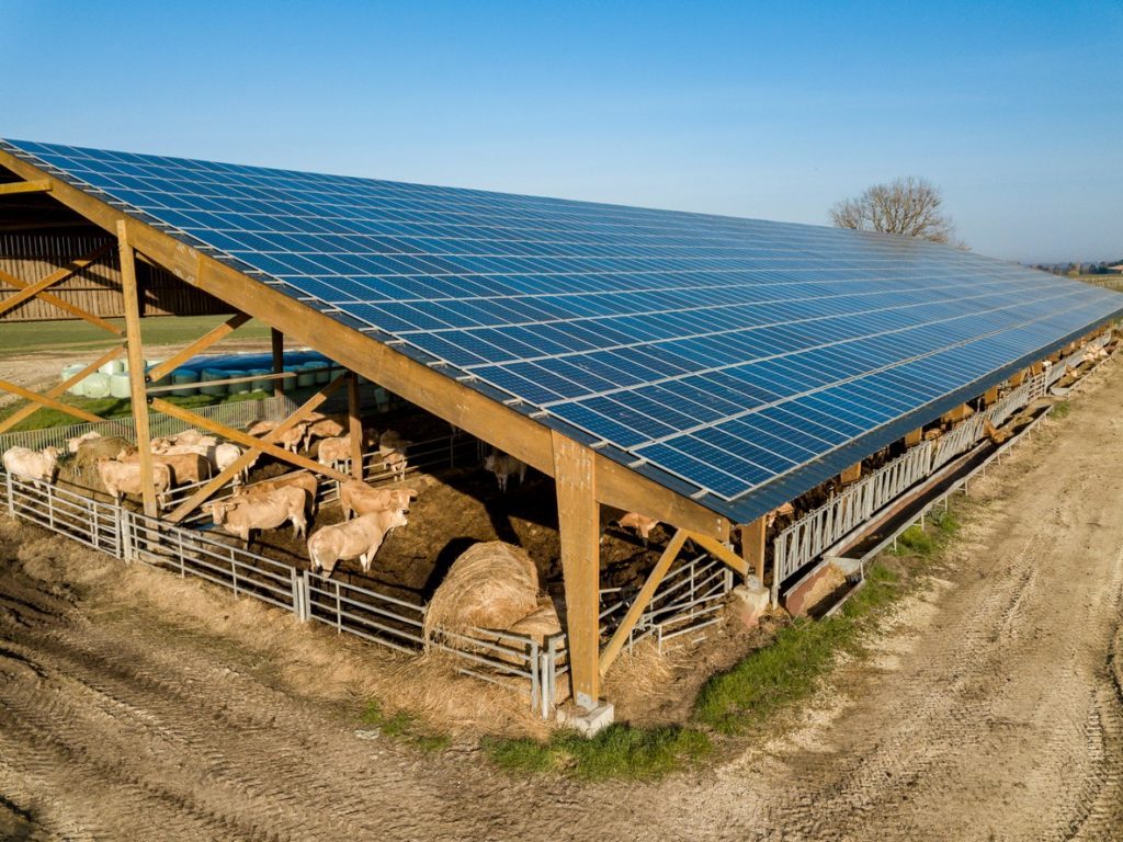 Fotovoltaico agrisolare